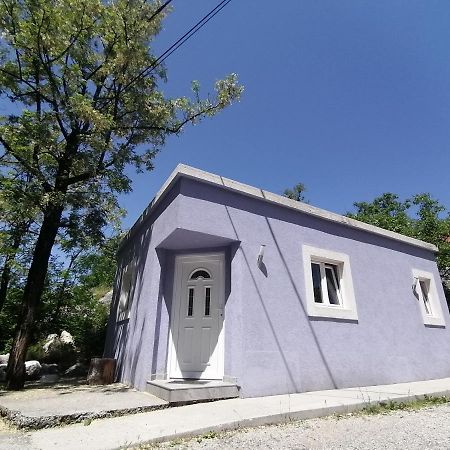 Purple Peace Τσέτινιε Εξωτερικό φωτογραφία